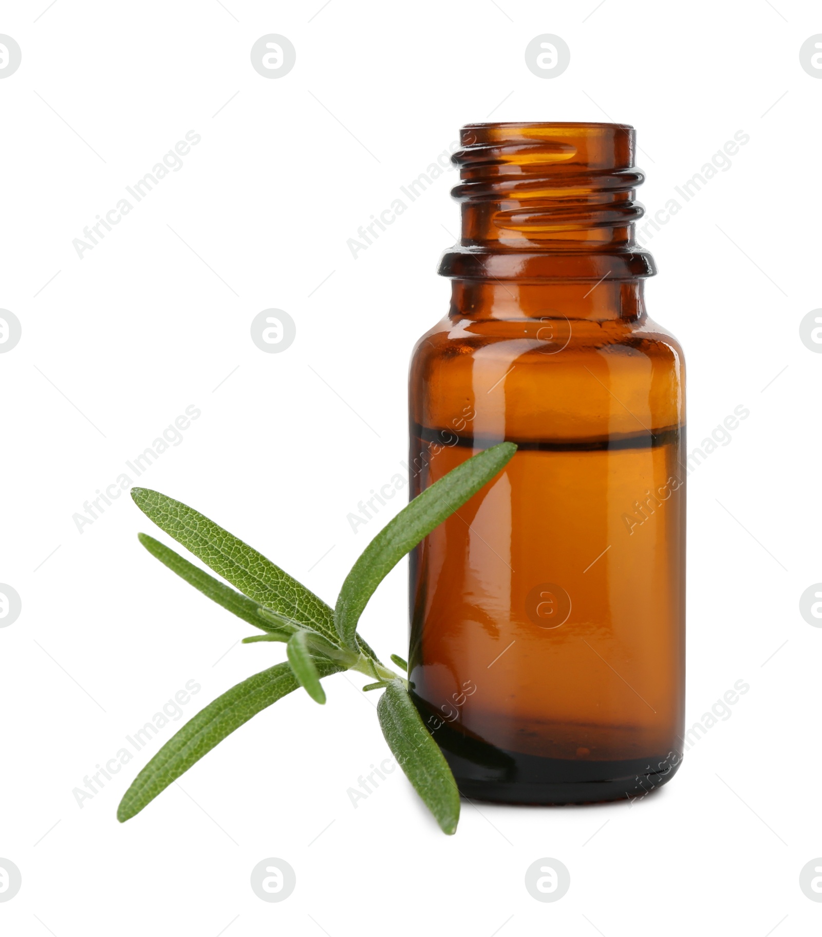 Photo of Bottle of essential oil and fresh rosemary isolated on white