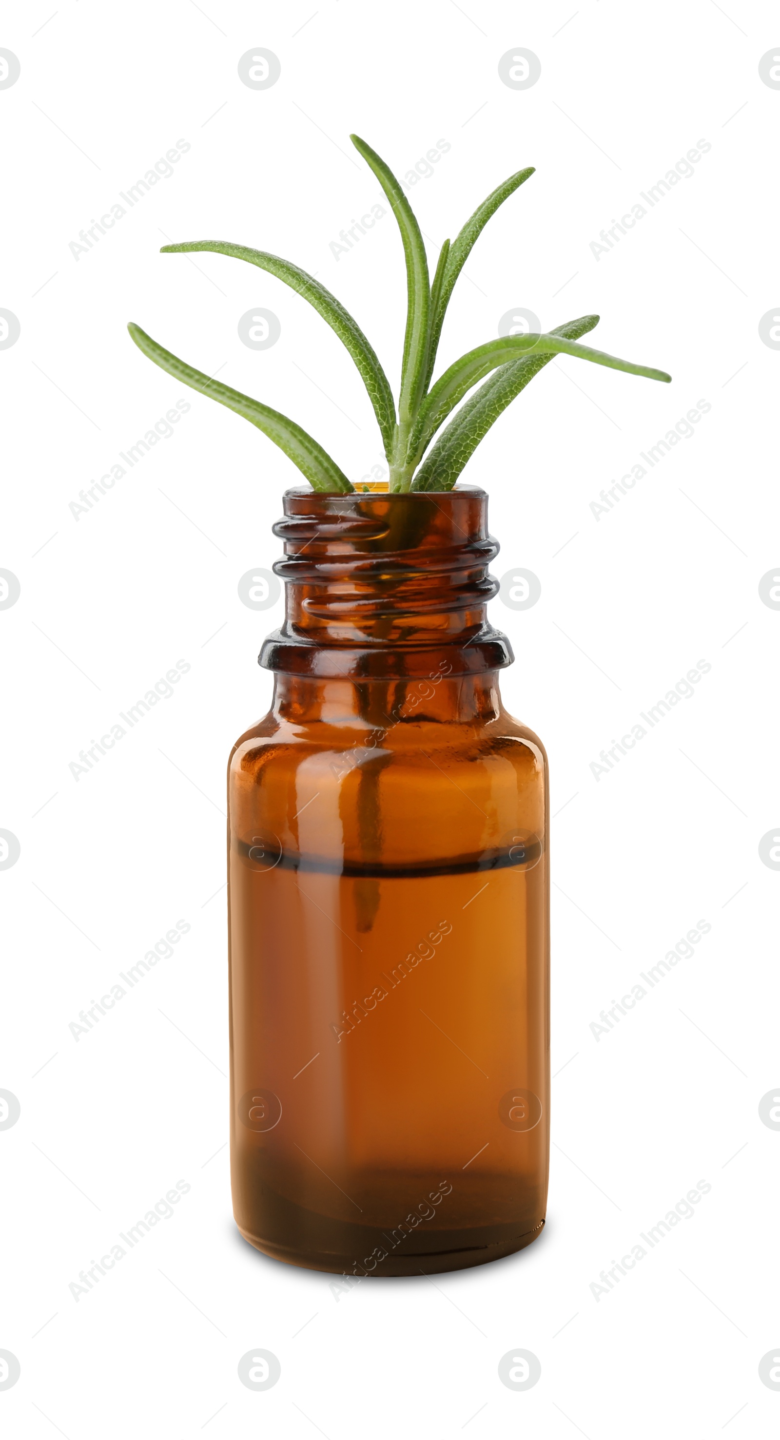 Photo of Bottle with essential oil and rosemary isolated on white