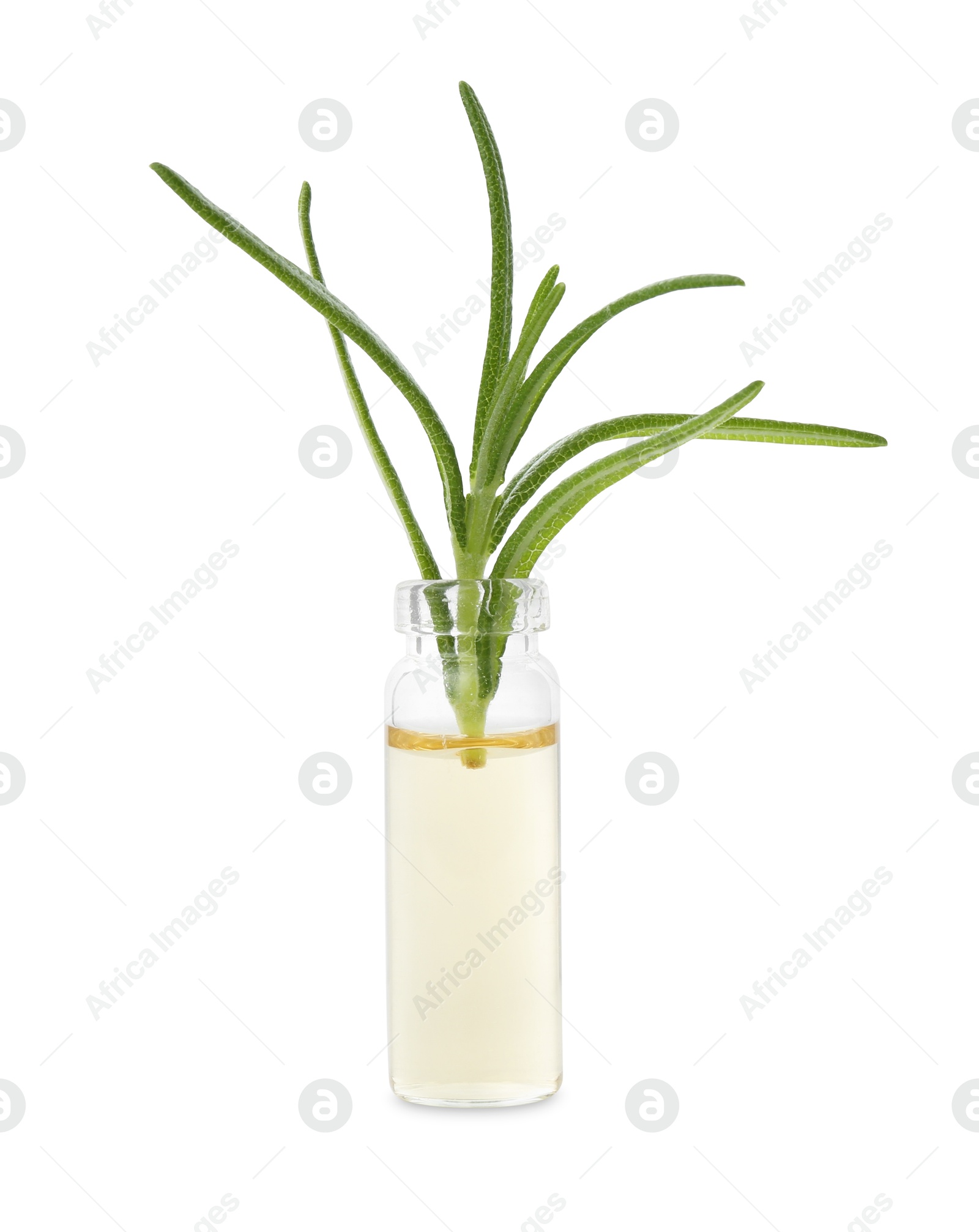 Photo of Bottle with essential oil and rosemary isolated on white