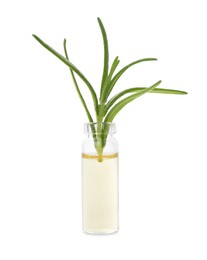 Bottle with essential oil and rosemary isolated on white