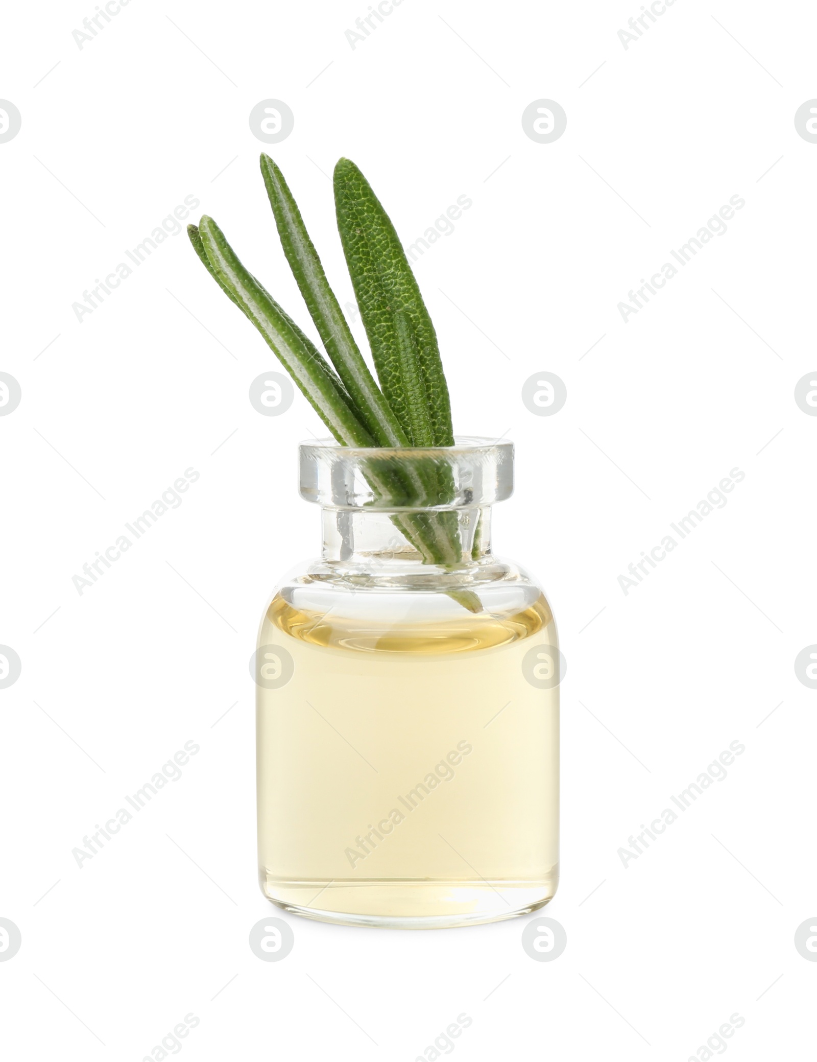 Photo of Bottle with essential oil and rosemary isolated on white