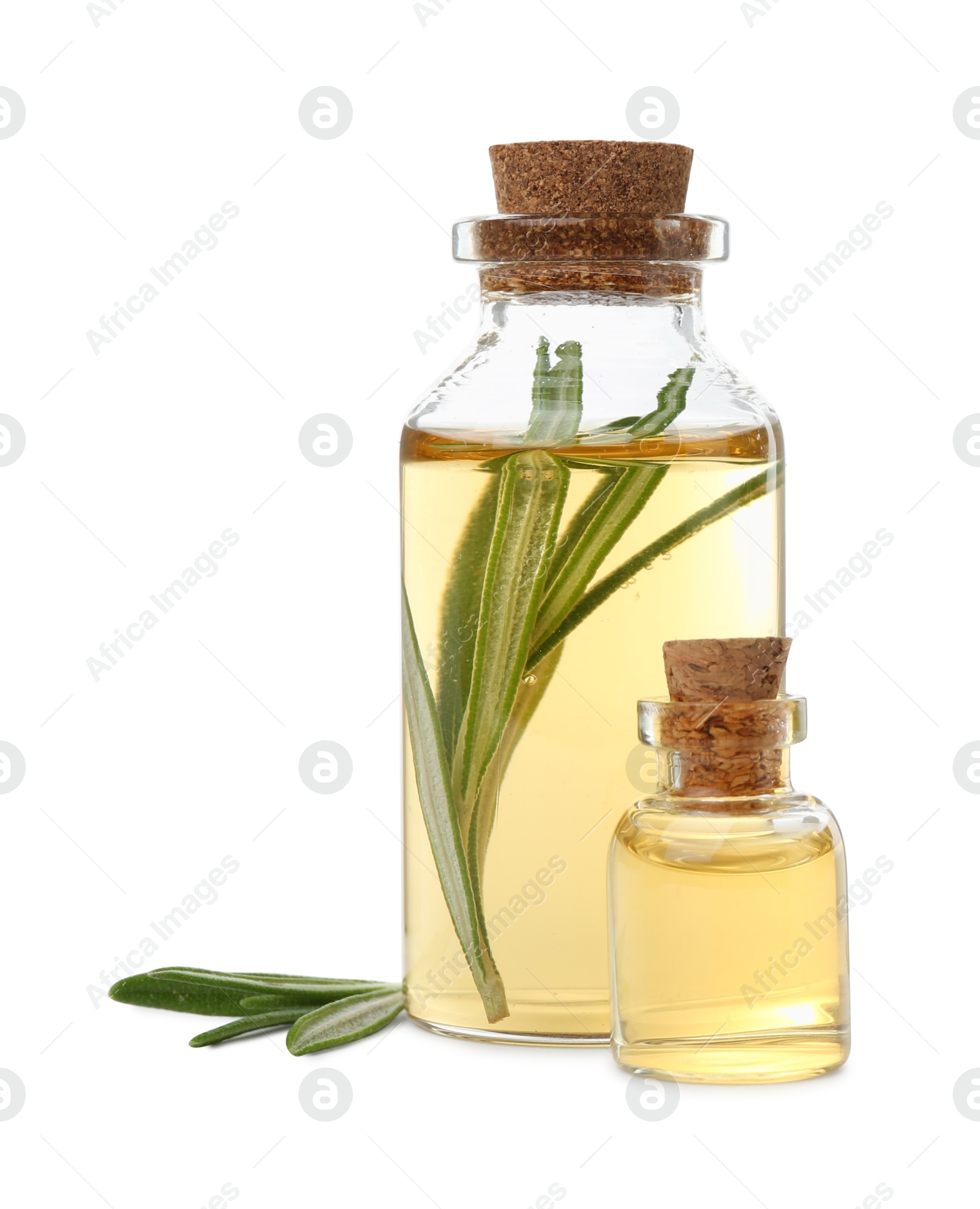 Photo of Bottles of rosemary essential oil isolated on white