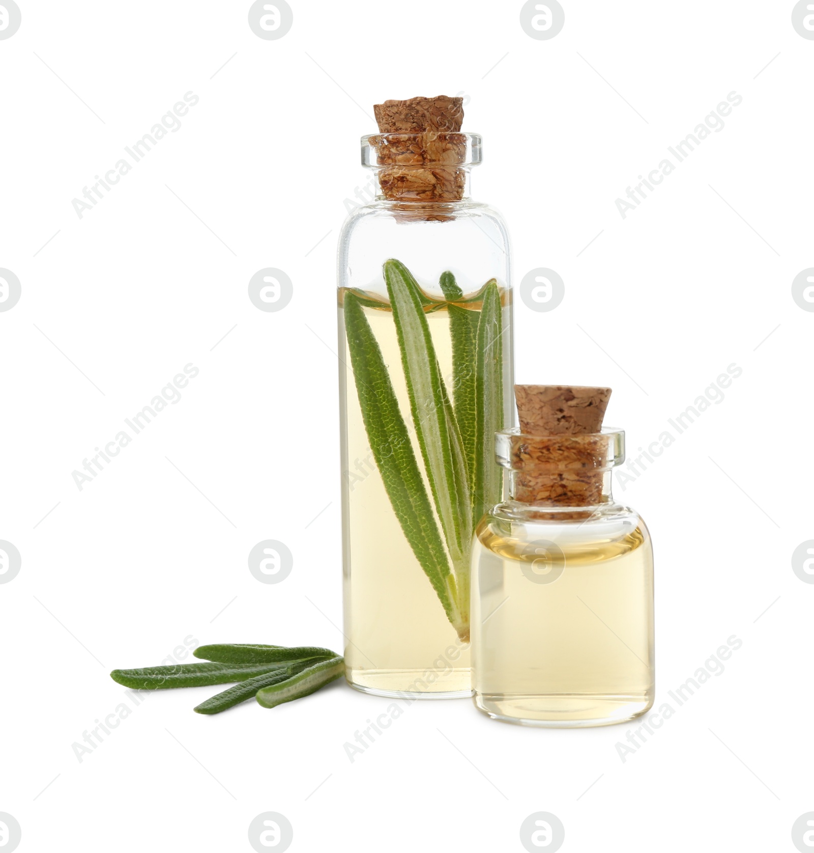 Photo of Bottles of rosemary essential oil isolated on white