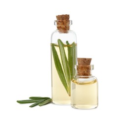 Photo of Bottles of rosemary essential oil isolated on white