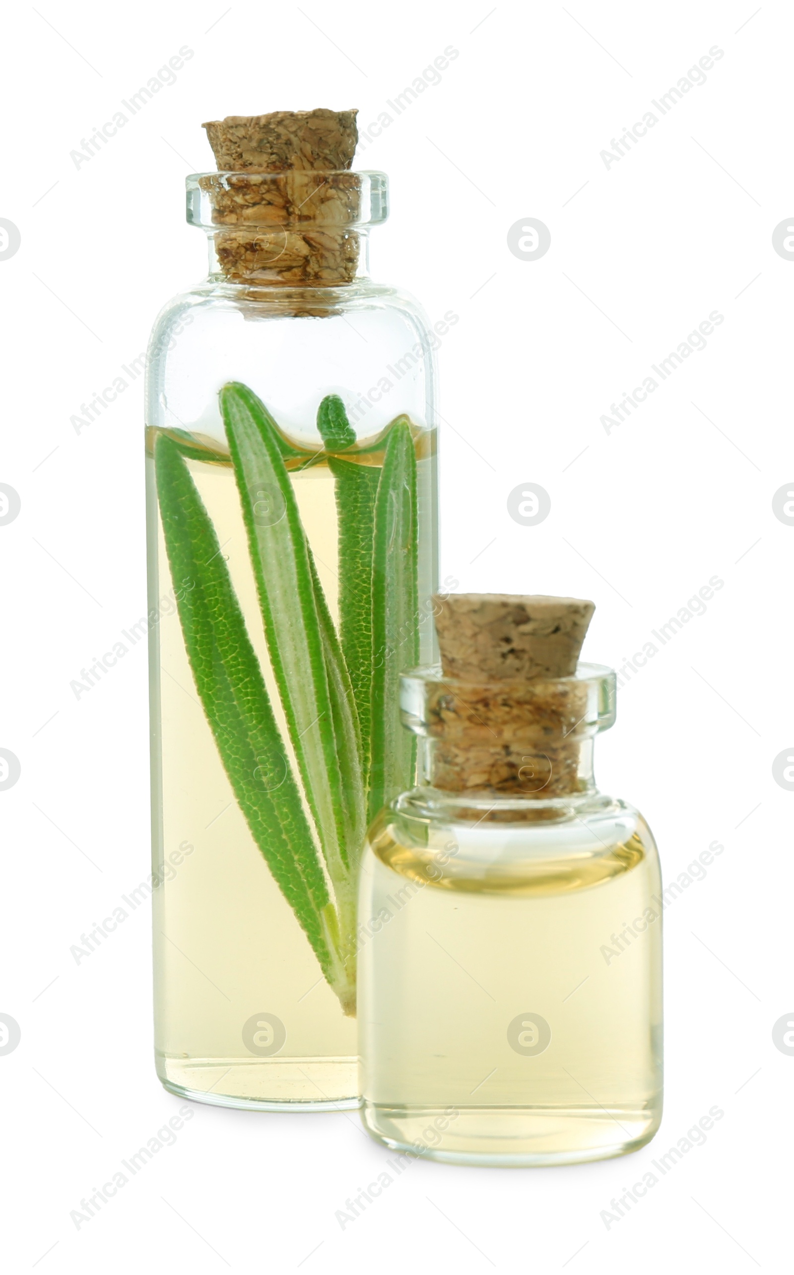 Photo of Bottles of rosemary essential oil isolated on white