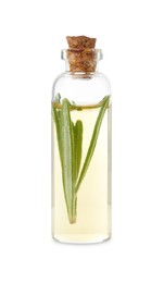 Photo of Bottle with essential oil and rosemary isolated on white