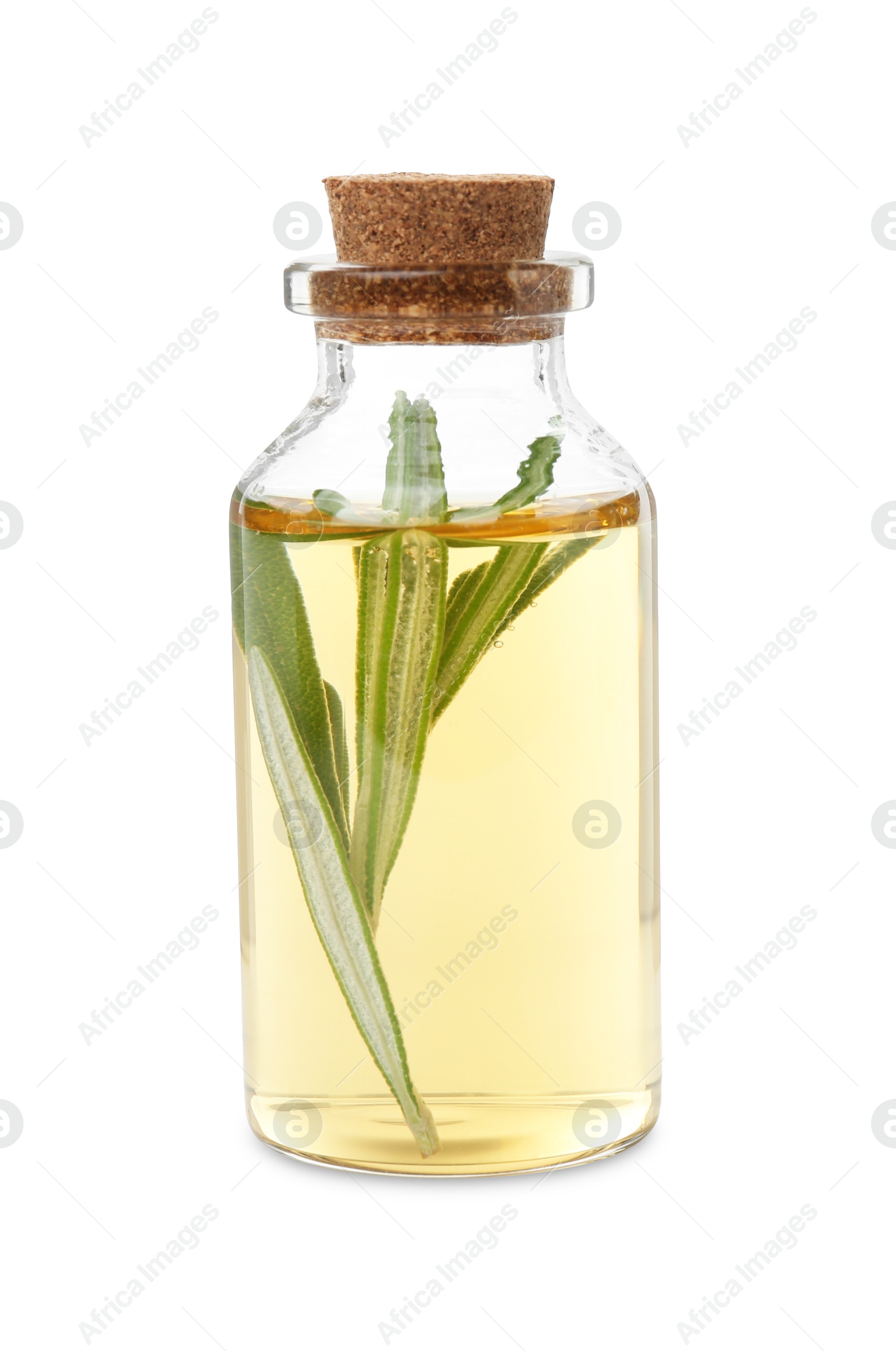 Photo of Bottle with essential oil and rosemary isolated on white