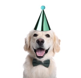 Image of Cute Golden Retriever dog with party hat and bow tie on white background