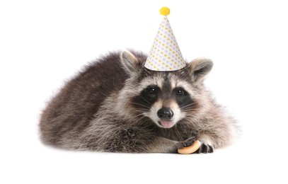 Image of Cute racoon with party hat on white background