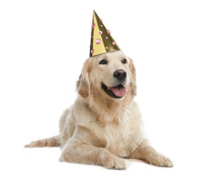 Cute Golden Retriever dog with party hat on white background