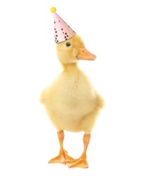 Cute little duckling with party hat on white background