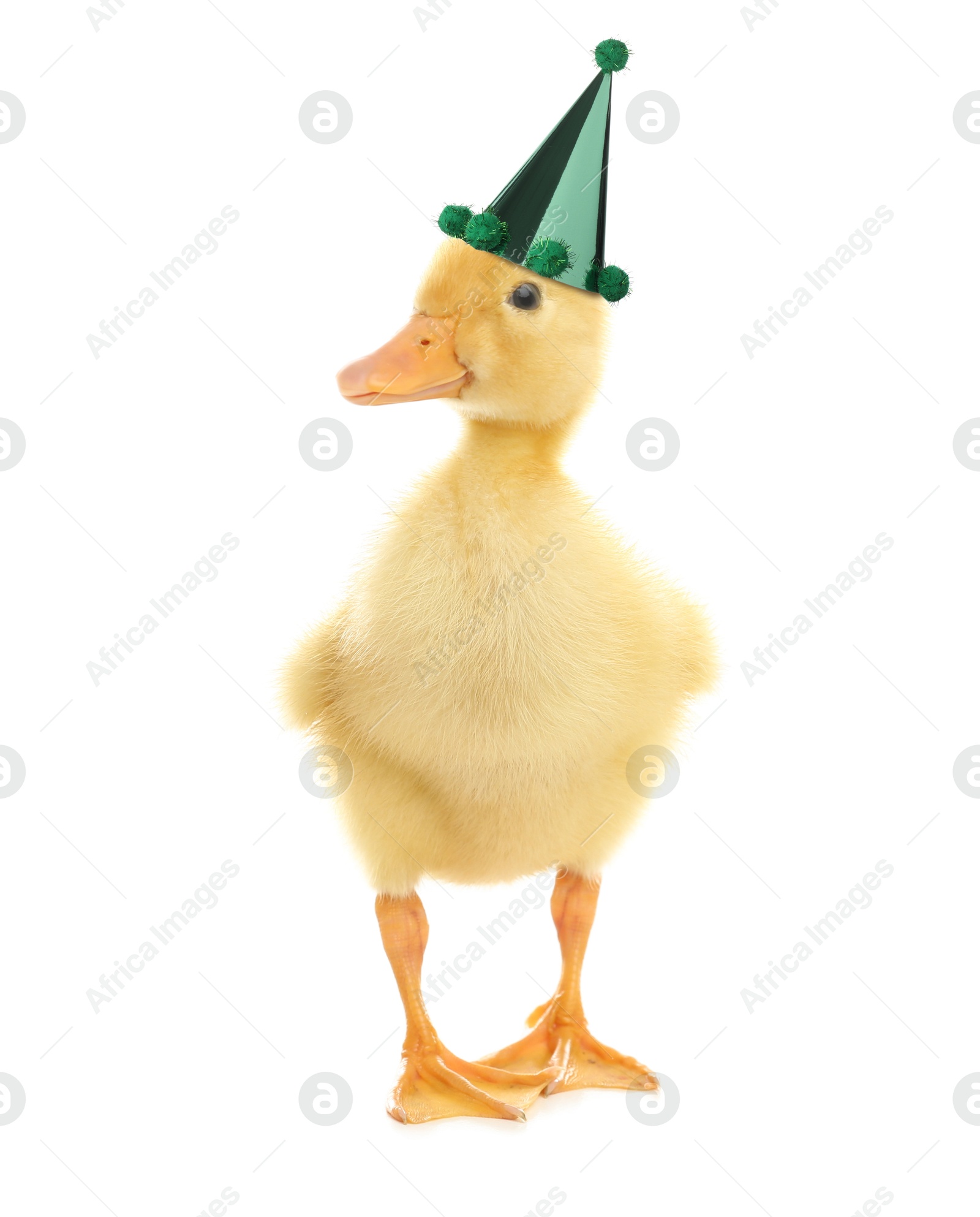 Image of Cute little duckling with party hat on white background