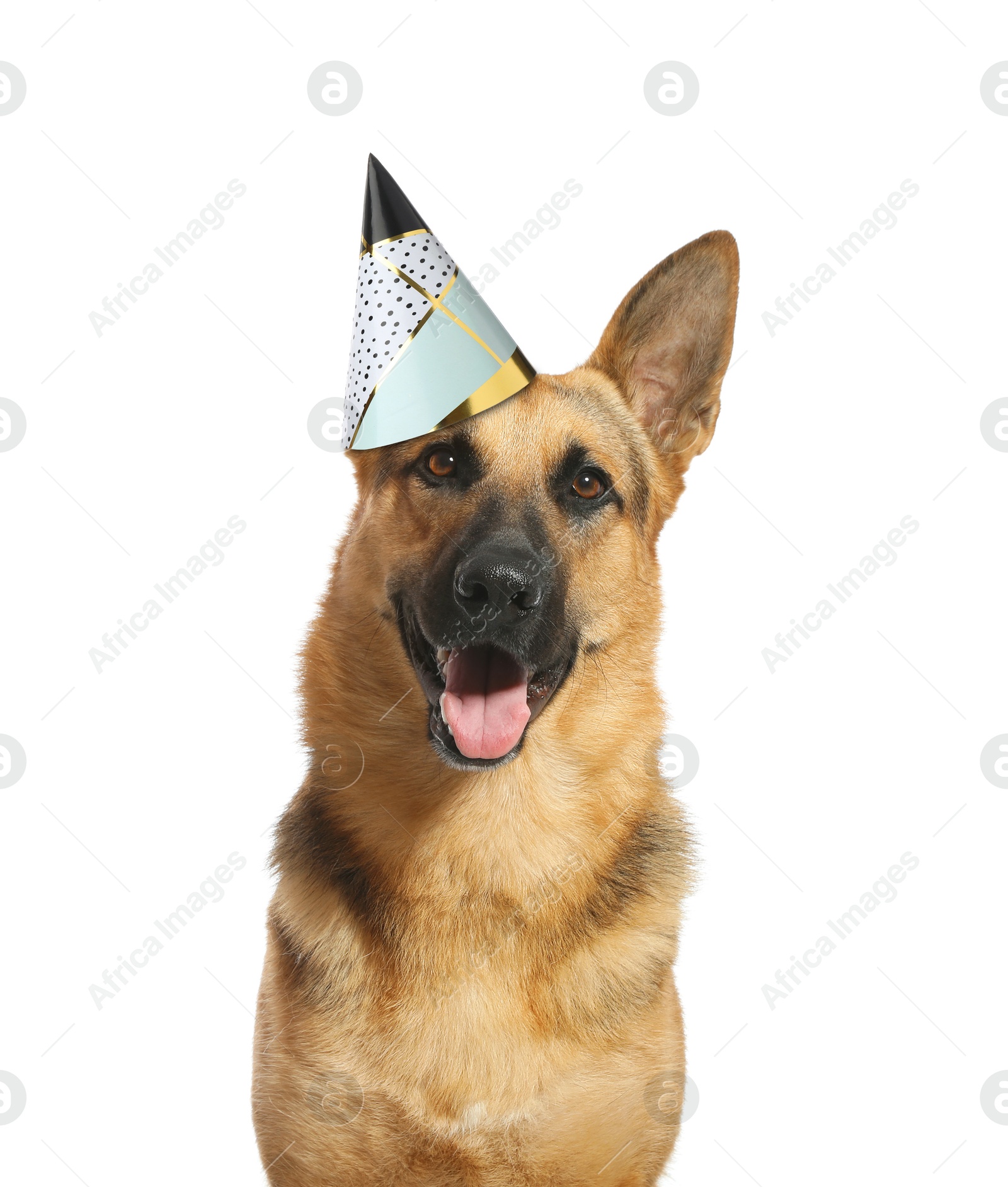 Image of Cute German Shepherd dog with party hat on white background