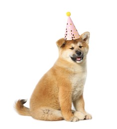 Image of Cute Akita Inu puppy with party hat on white background