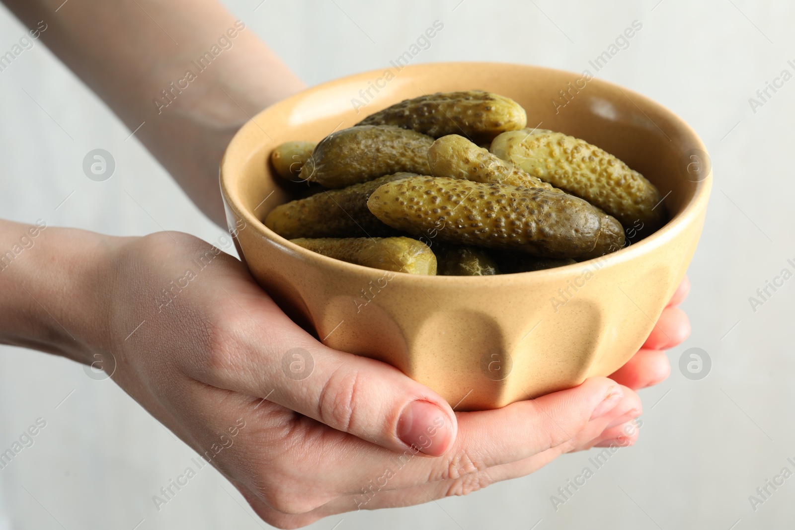 Photo of Woman holding bowl with pickled cucumbers on light grey background, closeup