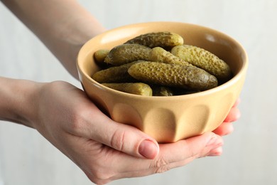 Photo of Woman holding bowl with pickled cucumbers on light grey background, closeup