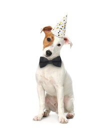 Cute Jack Russell terrier dog with party hat and bow tie on white background