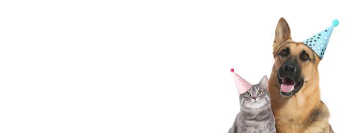 Cute dog and cat with party hats on white background, banner design. Space for text