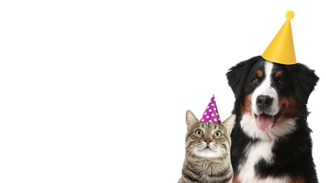 Image of Cute dog and cat with party hats on white background, banner design. Space for text