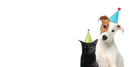 Cute dog and cat with party hats on white background, banner design. Space for text