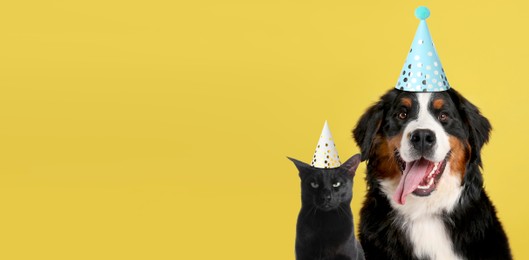 Image of Cute dog and cat with party hats on yellow background, banner design. Space for text