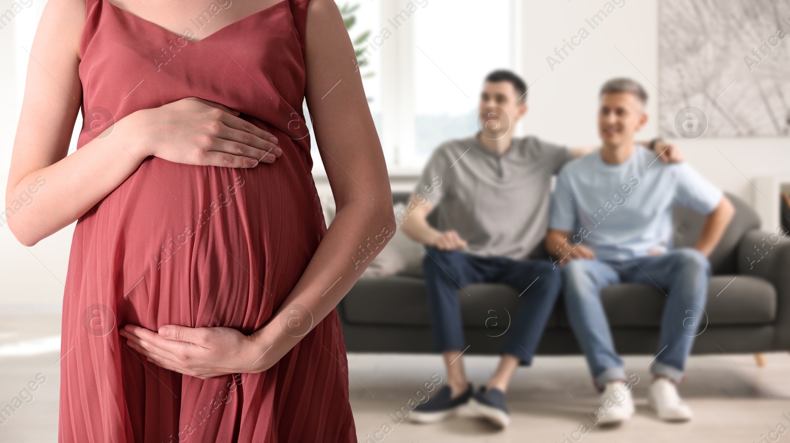 Image of Pregnant surrogate mother and happy gay couple at home, selective focus