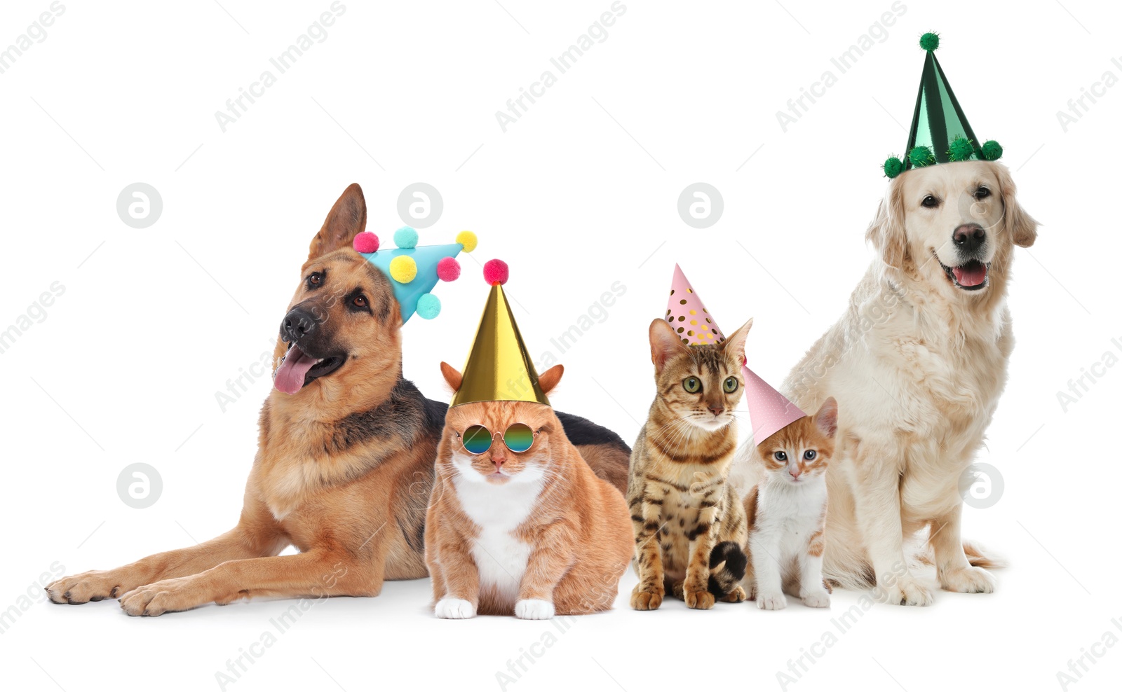 Image of Many different animals with party hats on white background