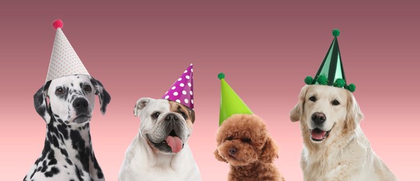 Image of Many different animals with party hats on pink gradient background, banner design