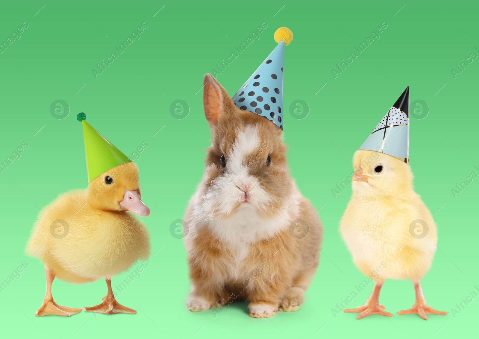 Image of Many different animals with party hats on green background