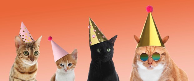 Image of Many different animals with party hats on coral color background, banner design