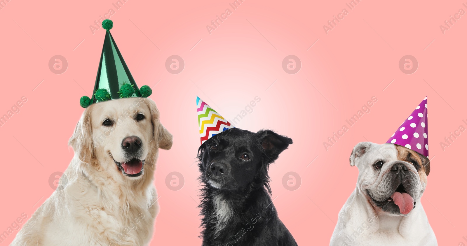 Image of Many different animals with party hats on pink background, banner design
