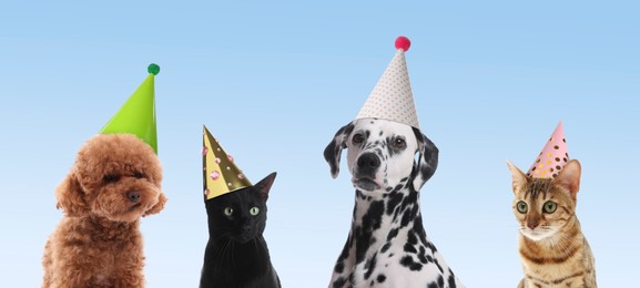 Image of Many different animals with party hats on light blue gradient background, banner design