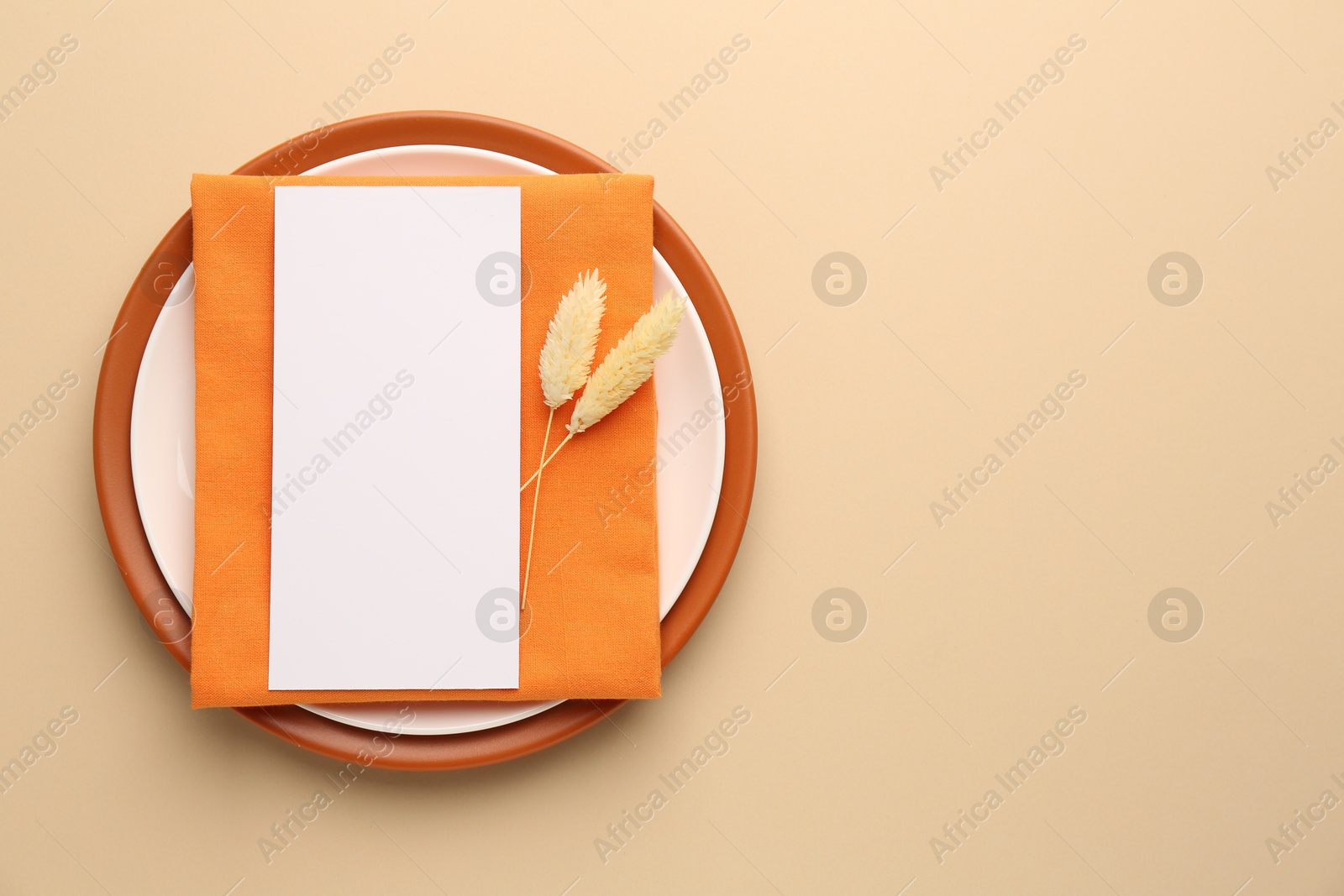 Photo of Empty menu, plates, napkin and dry spikes on beige background, top view. Mockup for design