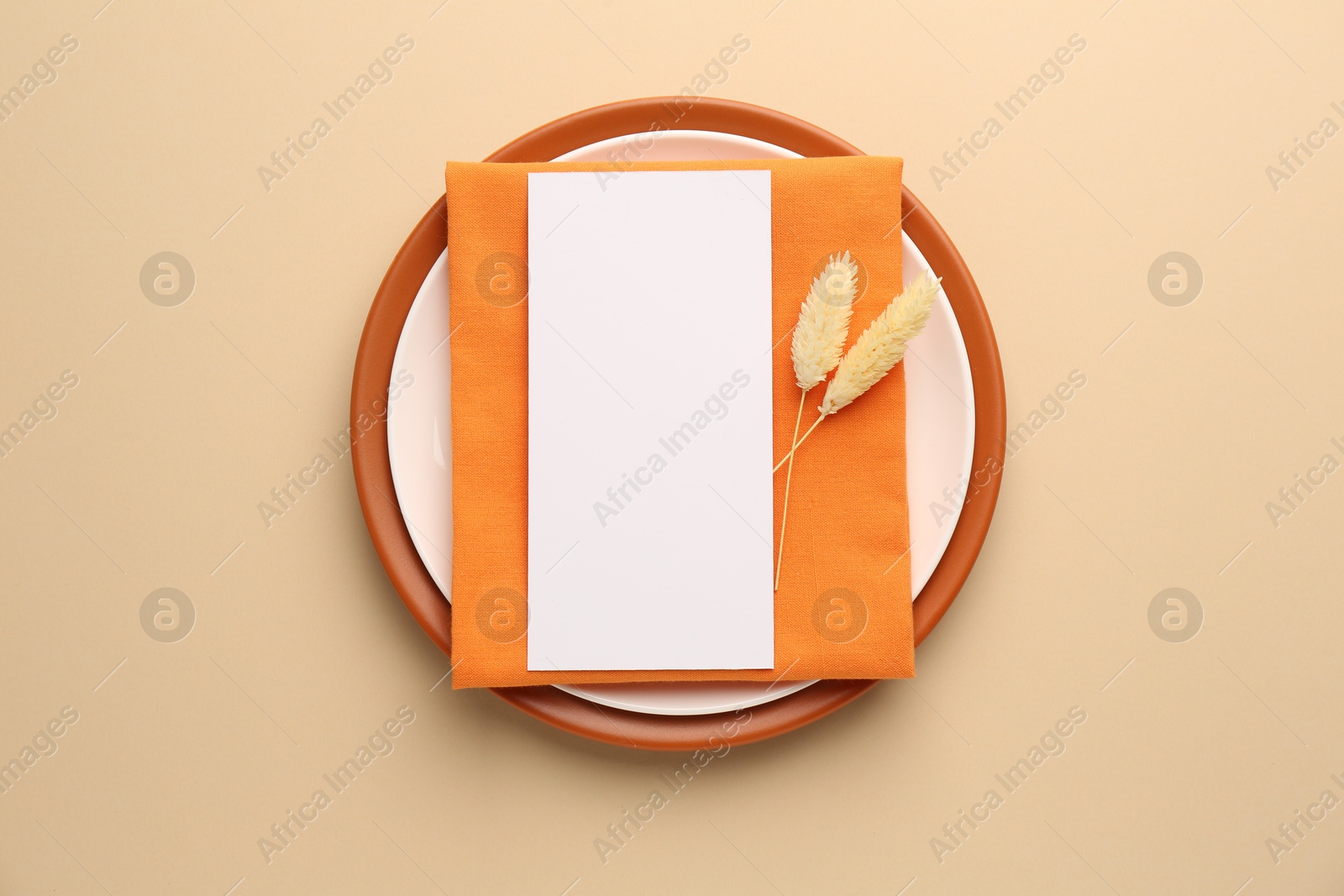 Photo of Empty menu, plates, napkin and dry spikes on beige background, top view. Mockup for design