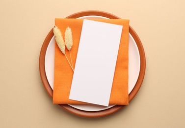 Empty menu, plates, napkin and dry spikes on beige background, top view. Mockup for design