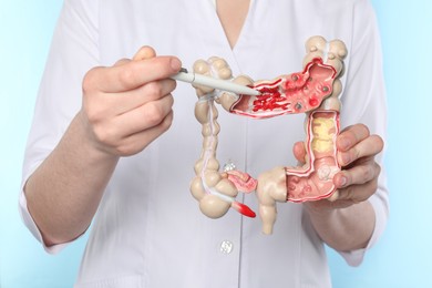 Doctor showing model of large intestine on light blue background, closeup