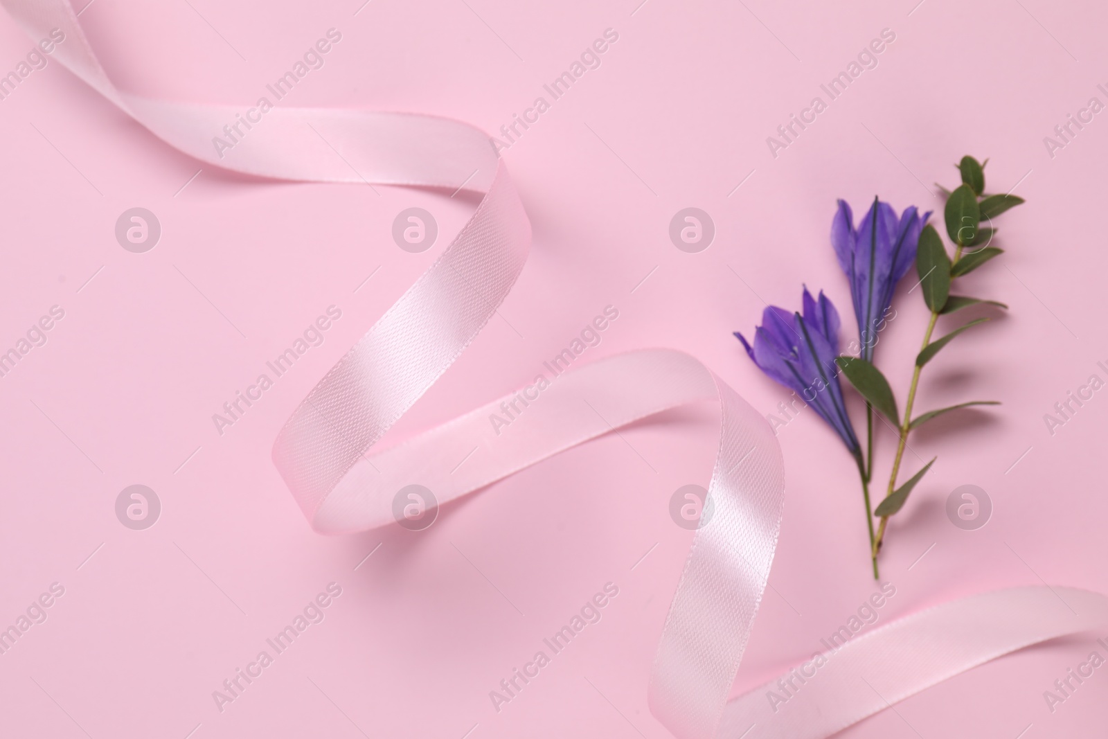 Photo of Beautiful ribbon with flowers on pink background, closeup