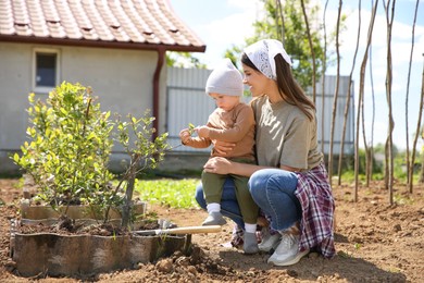 Photo of Mother and her son planting tree together in garden