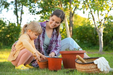 Photo of Mother and her daughter planting tree together in garden