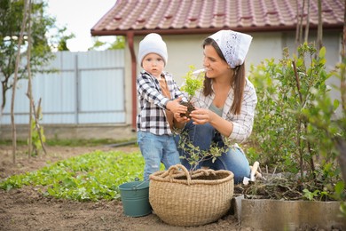 Photo of Mother and her cute son planting tree together in garden
