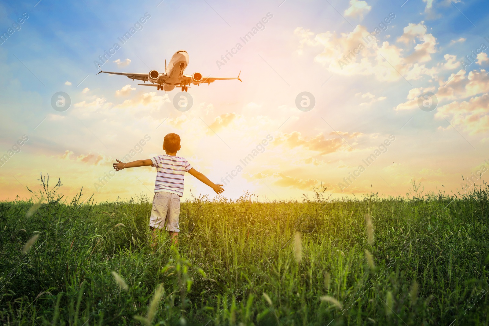 Image of Boy in green meadow looking at airplane flying in sky during sunrise, back view