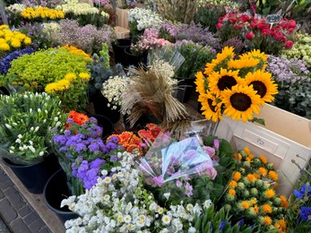 Photo of Assortment of beautiful flowers in floral shop