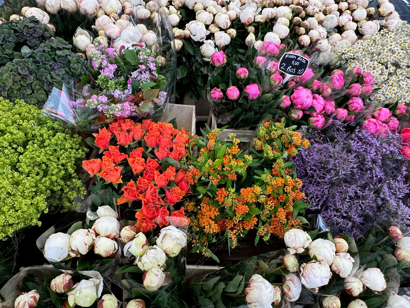 Photo of Assortment of beautiful flowers in floral shop