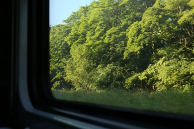 Photo of View of green trees through train window