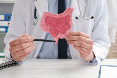 Photo of Doctor showing paper intestine cutout at white wooden table in clinic, closeup