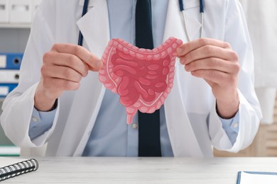 Doctor showing paper intestine cutout at white wooden table in clinic, closeup