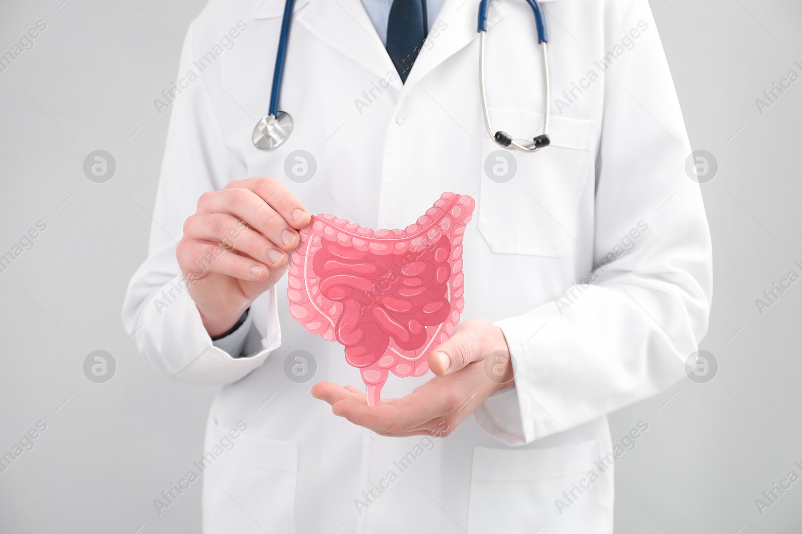 Photo of Doctor with paper intestine cutout on grey background, closeup