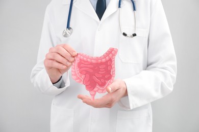 Photo of Doctor with paper intestine cutout on grey background, closeup