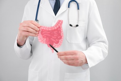 Doctor showing paper intestine cutout on grey background, closeup
