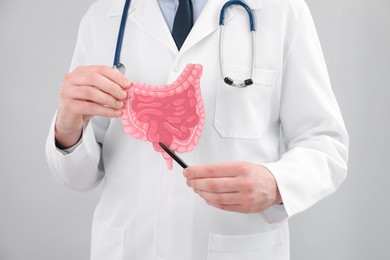 Photo of Doctor showing paper intestine cutout on grey background, closeup